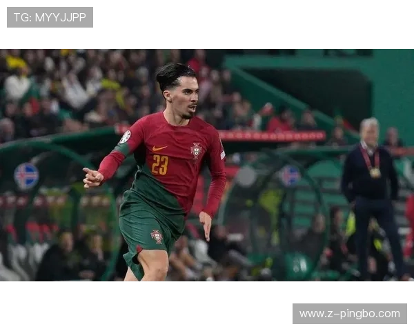 维蒂尼亚的战术定位与实际贡献为何引发评价两极分化？
